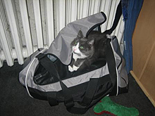Yessi will verreisen